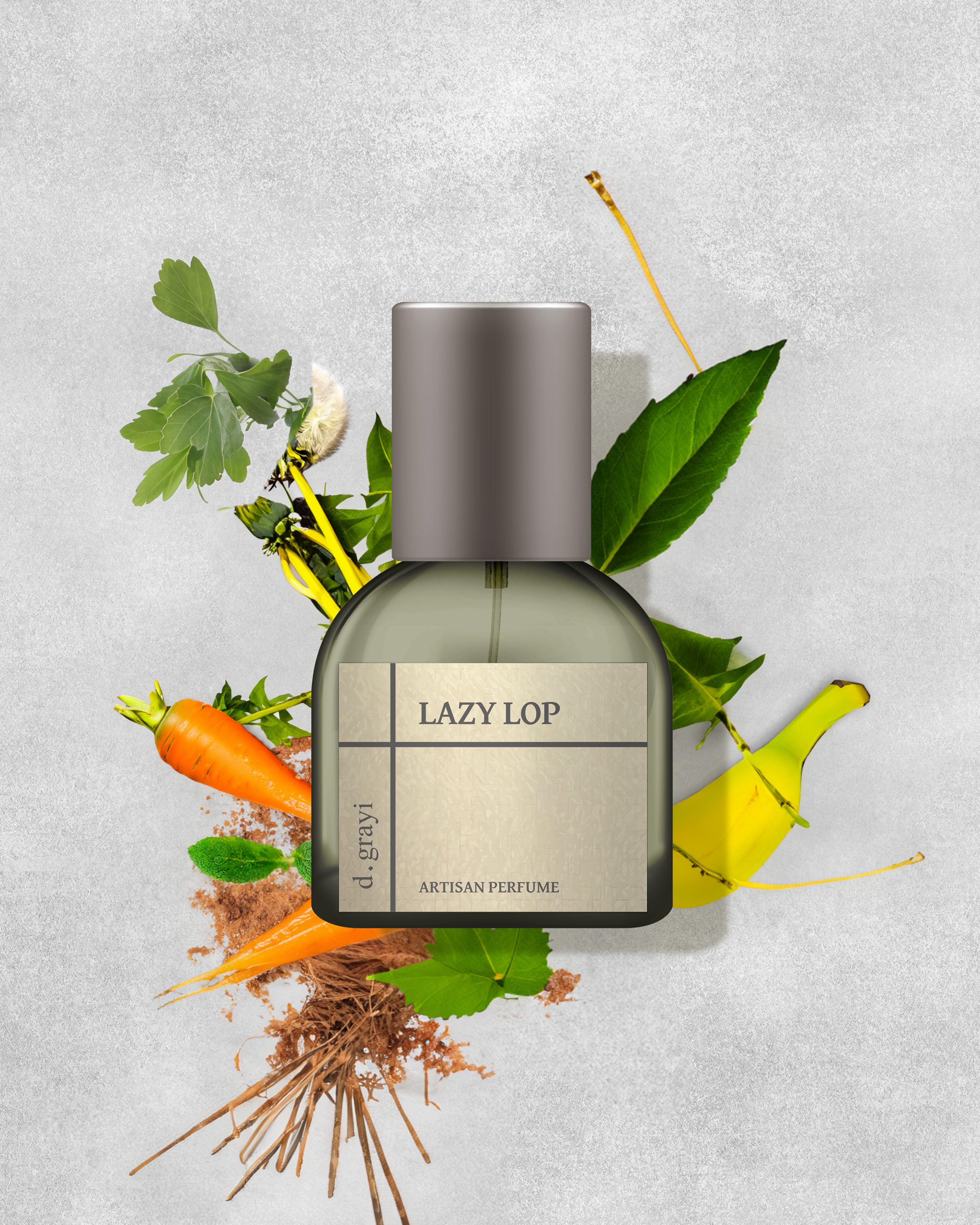 lazybig.jpg?v=1697349849&width