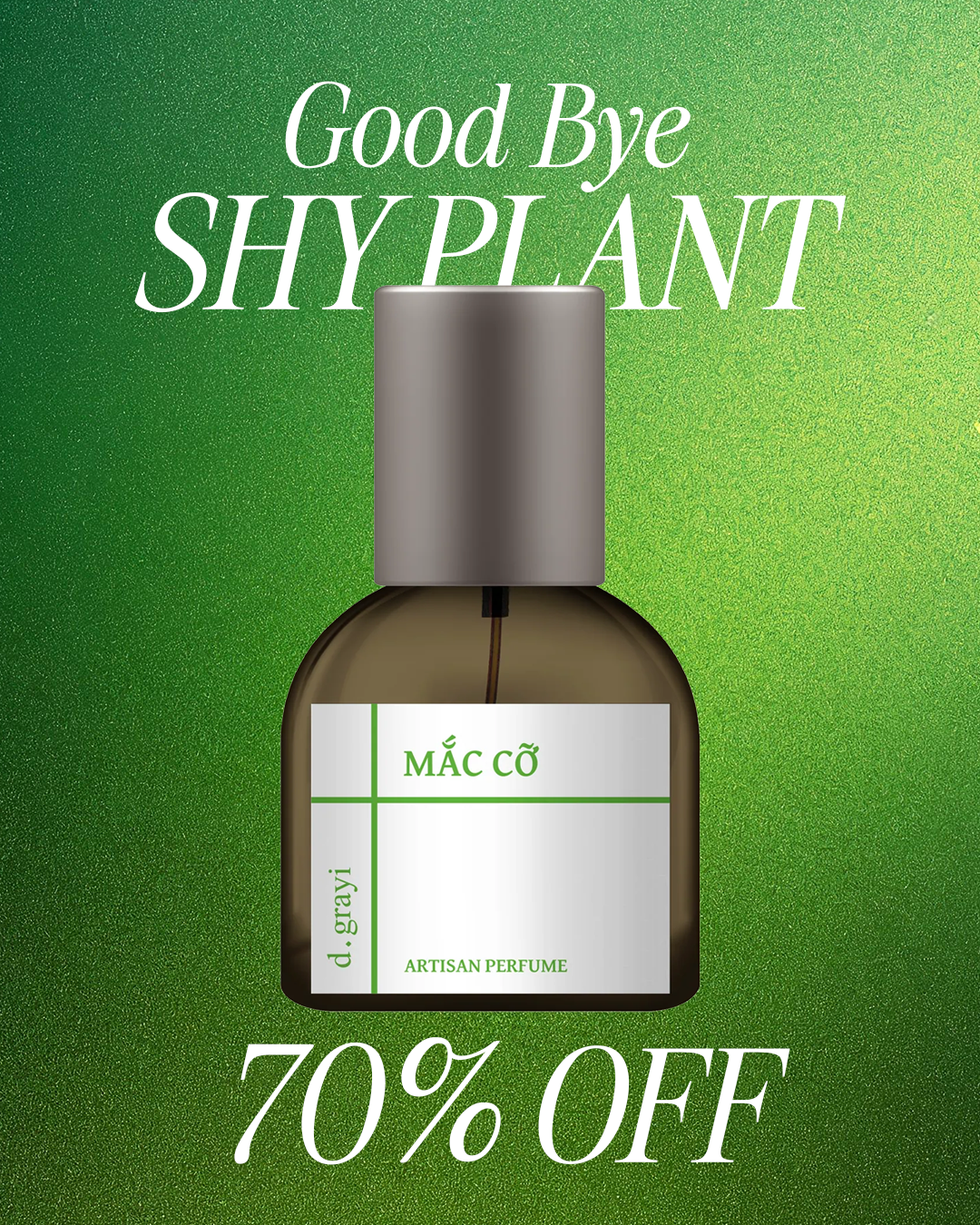 MẮC CỠ - SHY PLANT [Herbs, Moss & Tea]