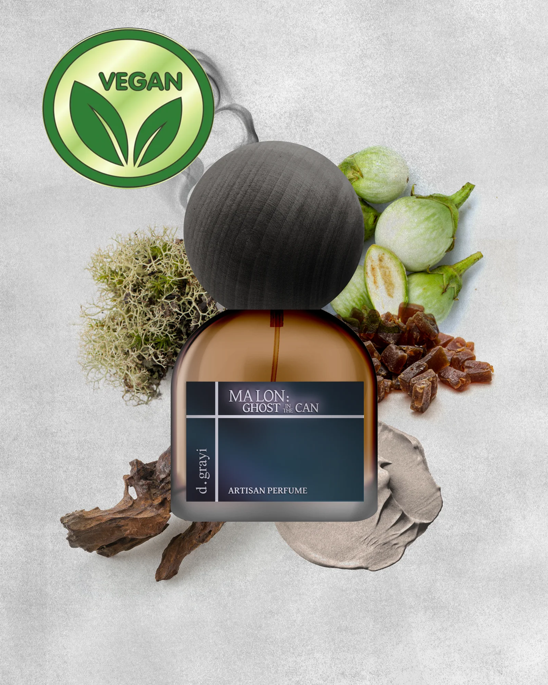 MA LON: GHOST IN THE CAN [Toad Fruit & Forest Cemetary] - lv1 studio